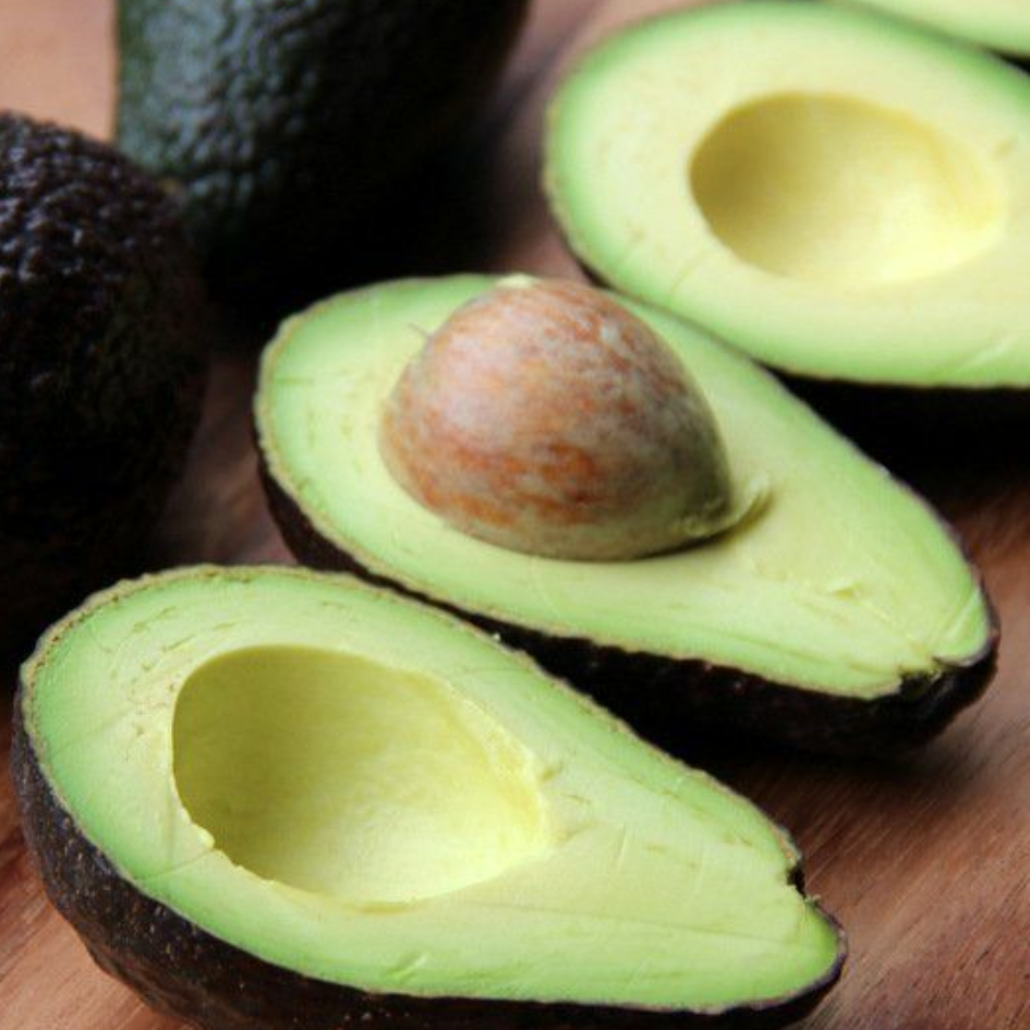 Palta